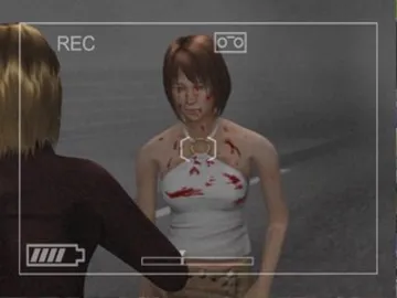 Michigan (Japan) screen shot game playing